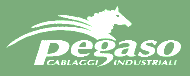 PEGASO - Cablaggi Industrialli