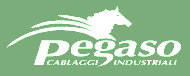 Pegaso Logo